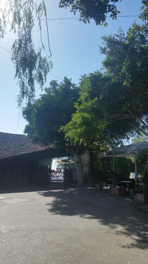 Habitacion Con Bano Privado Santa Cruz de Tenerife Zewnętrze zdjęcie
